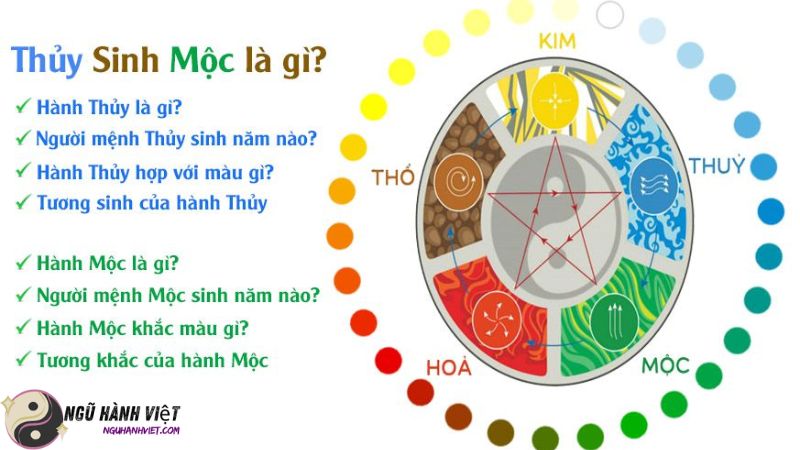 Hình ảnh minh họa Mẹ Mệnh Thủy Con Mệnh Mộc (Mẹ Mệnh Thủy Con Mệnh Mộc)