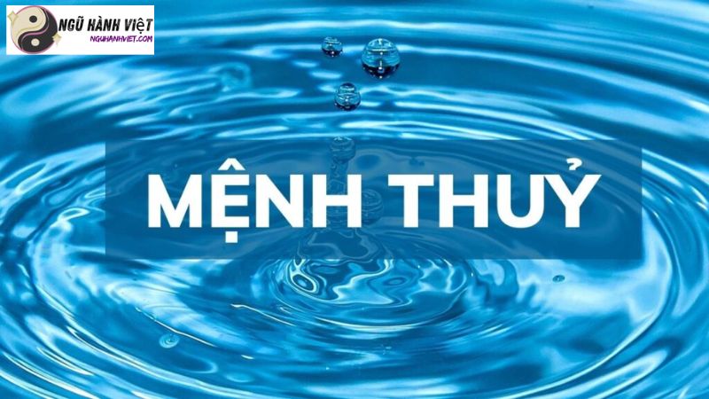 Hình ảnh minh họa Mẹ Mệnh Thủy Con Mệnh Mộc (Mẹ Mệnh Thủy Con Mệnh Mộc)