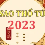 Hình ảnh minh họa Sao Thổ Tú 2023 (Sao Thổ Tú 2023)